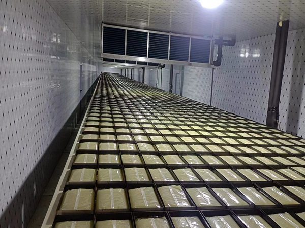 自动搬运机械人生产线厂家 青岛AG平台游戏大厅_AG真人国际厅的自动搬运机械人生产线图